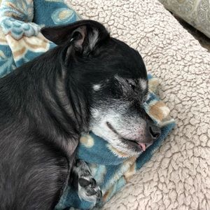 Meet your Posher, Thomas